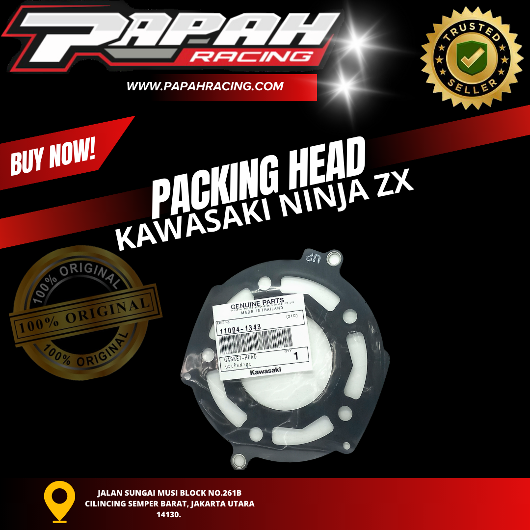 PAKING HEAD KAWASAKI NINJA ZX
